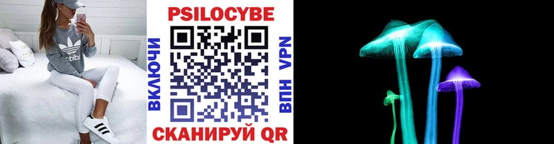даркнет сайт  Билибино  Галлюциногенные грибы Cubensis 